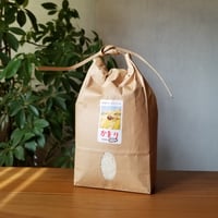 かをりしぐれ白米1kg