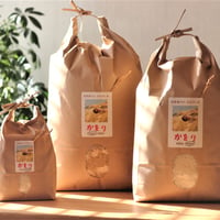【定期・毎月】かをりしぐれ 白米10kg