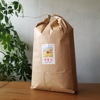 かをりしぐれ玄米10kg