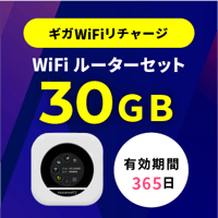 WiFiルーター端末代+30GB
