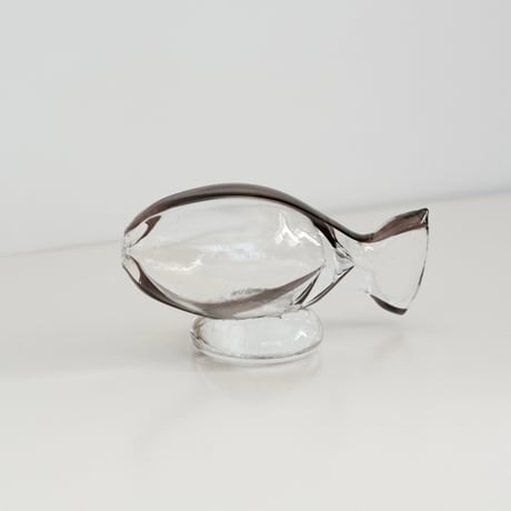 GLASS FISH
