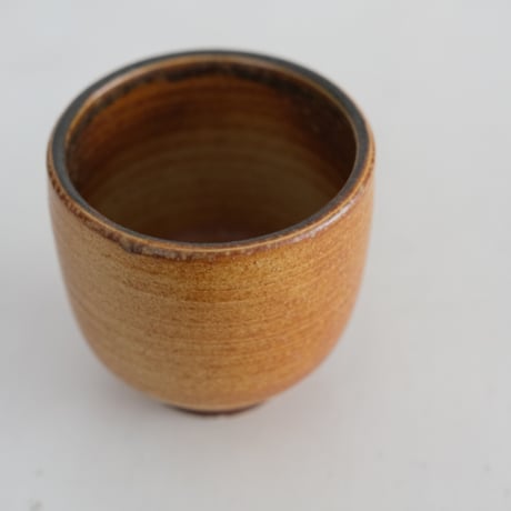 ARABIA CUP