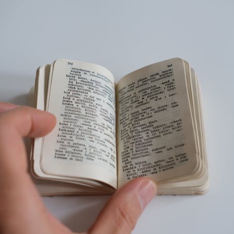 MINI DICTIONARY