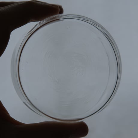 NUUTAJARVI GLASS BOWL (A)