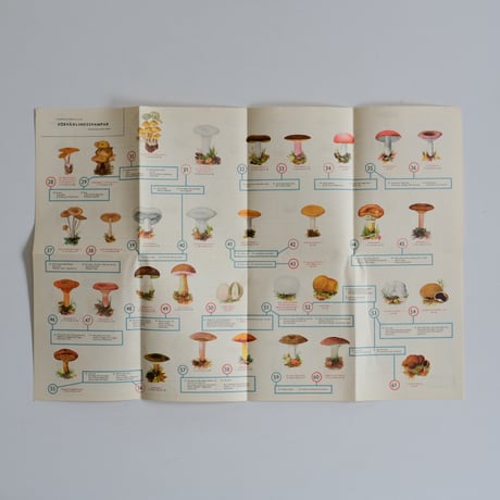 SWEDISH MUSHROOM POSTER