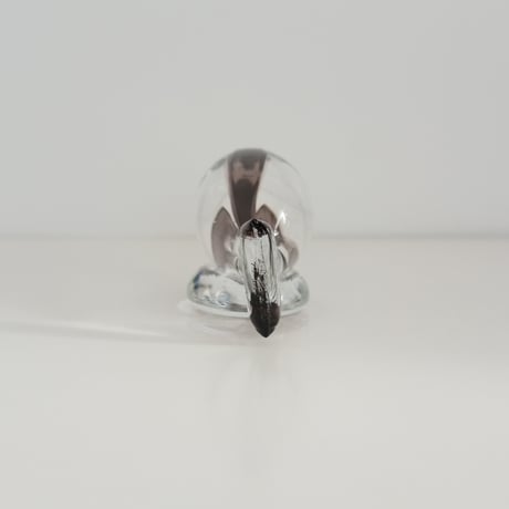 GLASS FISH