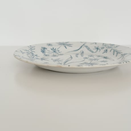 OLD ARABIA PLATE
