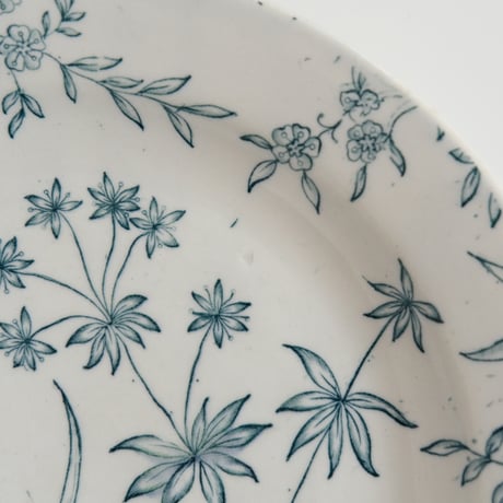 OLD ARABIA PLATE