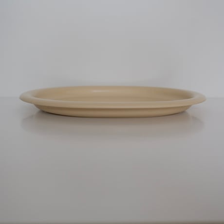 SARVIS TRAY (A)