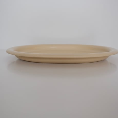 SARVIS TRAY (B)