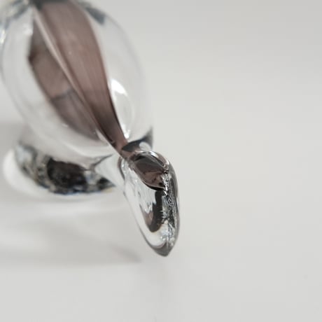 GLASS FISH