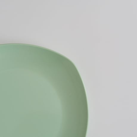 SARVIS PLATE (B)