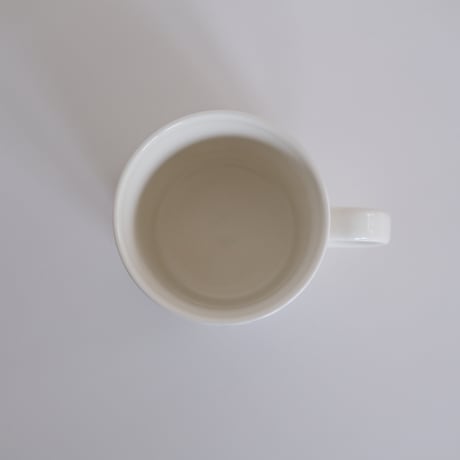 ARABIA TEEMA FACTORY MUG