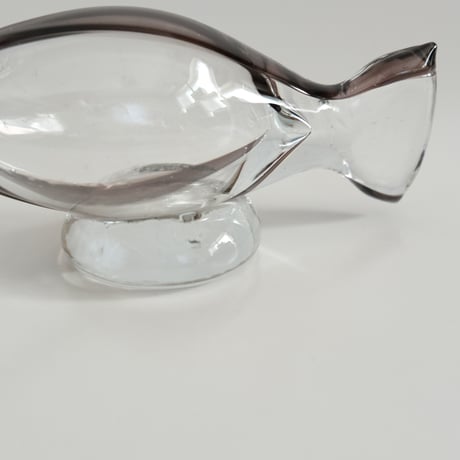 GLASS FISH