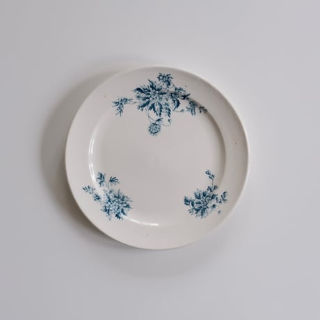 オールドアラビア | STORES