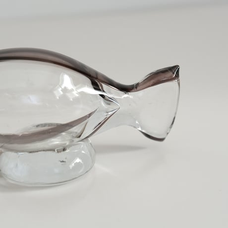 GLASS FISH