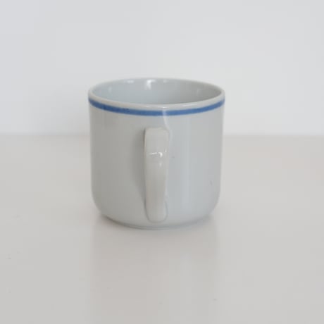 ARABIA CUP