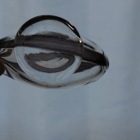 GLASS FISH