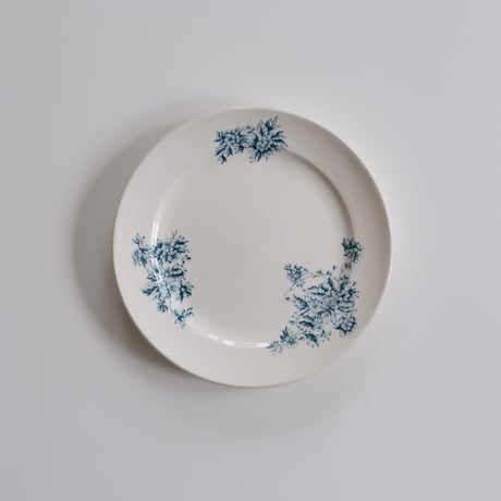 オールドアラビア | STORES