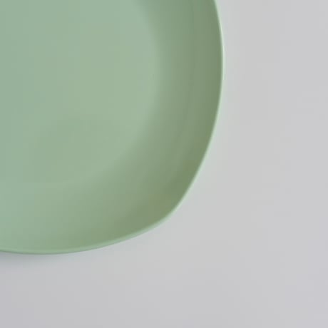 SARVIS PLATE (A)