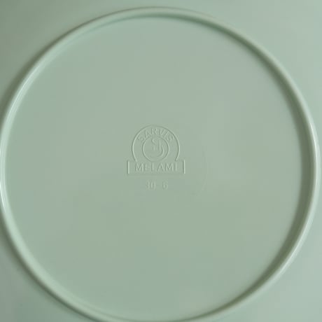 SARVIS PLATE (B)