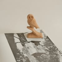 WOOD CARVING OWL