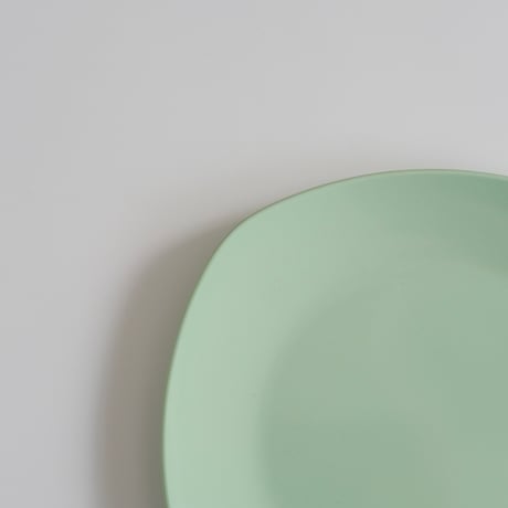 SARVIS PLATE (B)