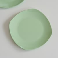 SARVIS PLATE (A)