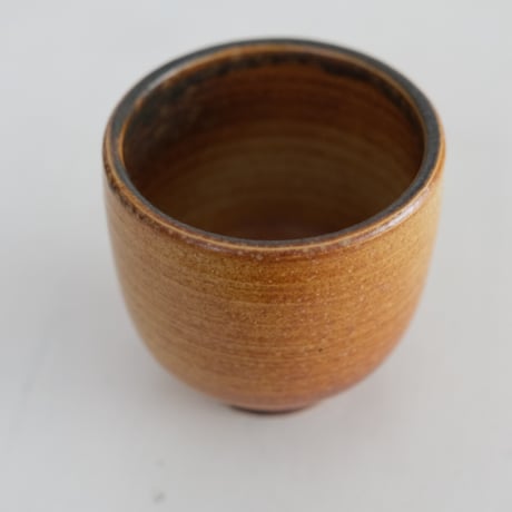 ARABIA CUP