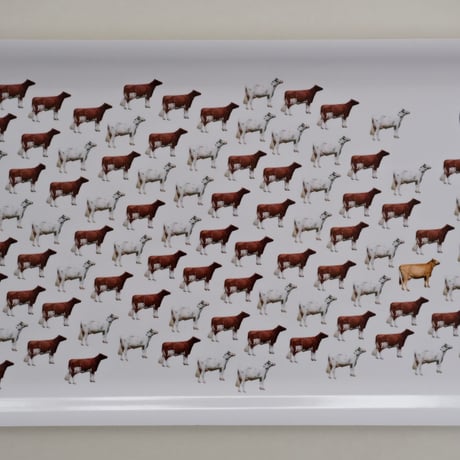 VALIO PLYWOOD TRAY