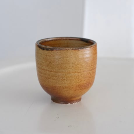 ARABIA CUP