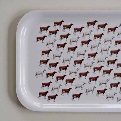 VALIO PLYWOOD TRAY