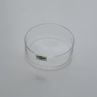 NUUTAJARVI GLASS BOWL (C)