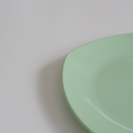 SARVIS PLATE (B)