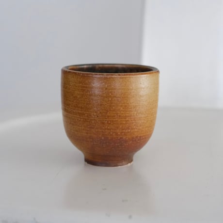 ARABIA CUP