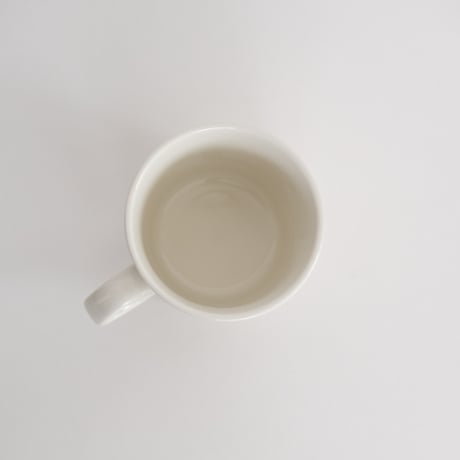 ARABIA TEEMA TOAS MUG