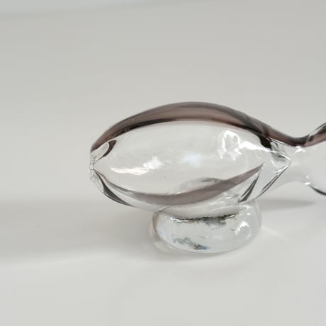 GLASS FISH