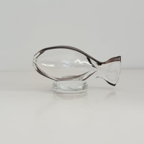 GLASS FISH