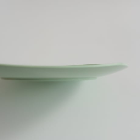 SARVIS PLATE (B)