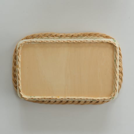 TRAY