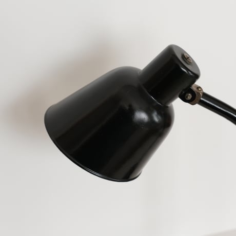 Vintage Desk Lamp by Christian Dell for Bur (Bunte & Remmler)
