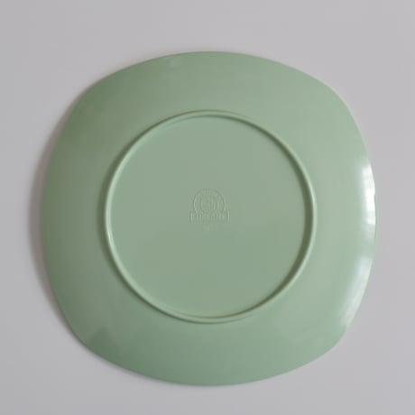 SARVIS PLATE (B)