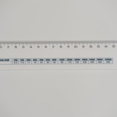 RULER
