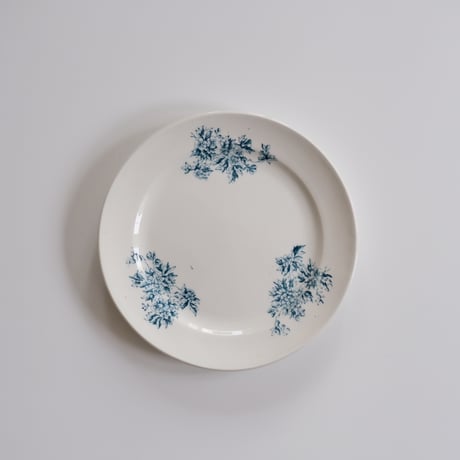 オールドアラビア | STORES