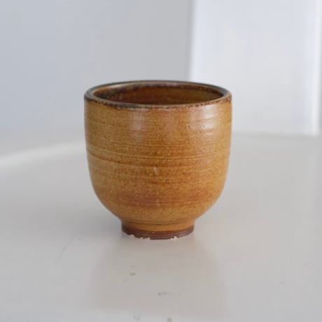 ARABIA CUP