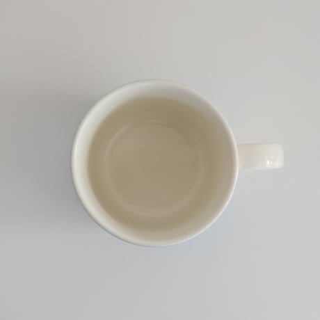 ARABIA TEEMA HSL MUG