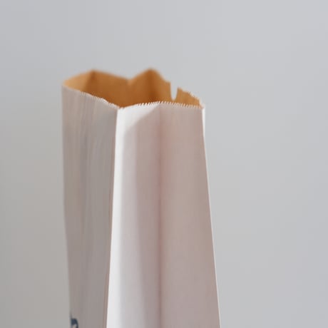 VALIO PAPER BAG