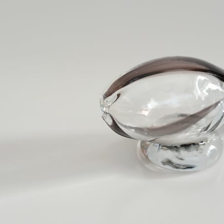 GLASS FISH