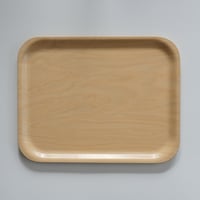 BACKMAN TRAY
