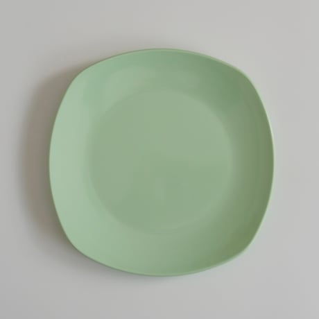 SARVIS PLATE (A)